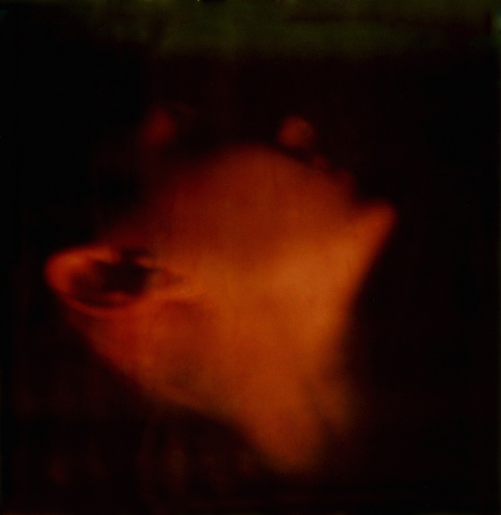 פורטרט של אם, 2002